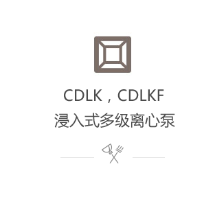 CDLK,CDLKF浸入式多級離心泵