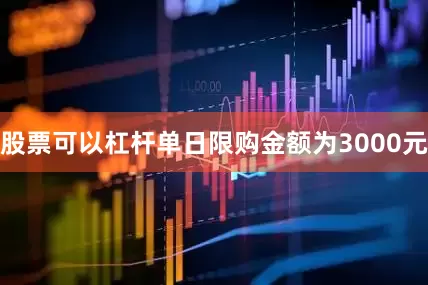 股票可以杠杆单日限购金额为3000元